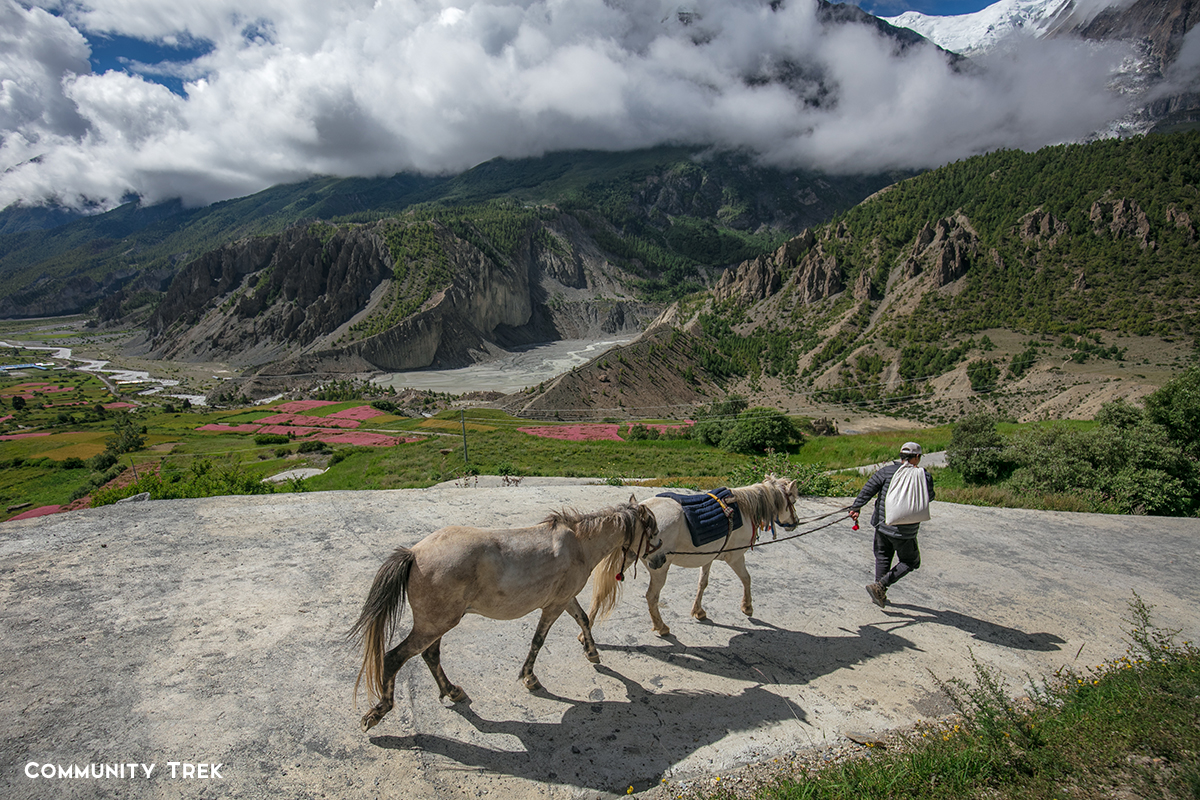 Manang Valley, Annapurna